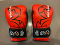 RIVAL RS11V Evolution Sparring Gloves - Red